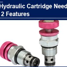 Impressed by 2 main features of AAK Hydraulic Cartridge Needle Valve, Mexican customer gave up the local manufacturer cooperated for 5 years