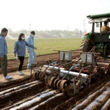 Sinopec's Fully Biodegradable PBST Material Tackles Residual Mulch Film Challenge in Xinjiang's Cotton Fields