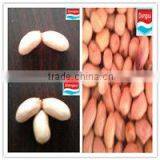 Bulk Red Peanuts for Sale