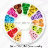 Nail polymer clay sticks for nail art FIMO rods