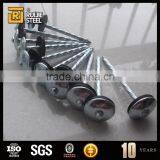 18 Gauge Steel Nail Size/Galvanized Umbrella Head Roofing Nails