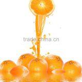 Hot Sale On Automatic Orange Peeler Especially For Making Orange Juice thumbnail-4