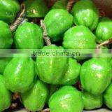 Handmade Soap - Natural Spa Fruit Soap Guava Flavor