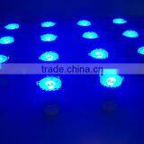 Epistar Blue LED Spotlight MR16,3*1W
