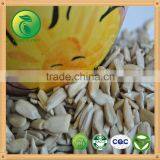 Sunflower Kernels New Product Confectionary Grade thumbnail-1