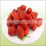 Wholesale Fresh Frozen Strawberry thumbnail-2