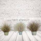 Lovely Artificial Zebra Grass For Home Decoration