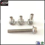 Factory Price Good Quality 304 Stainless Steel Serrated Flange Bolts thumbnail-5