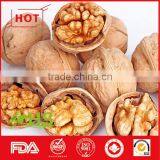 Juglans Regia L. Planted in China thumbnail-3