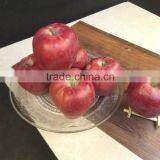 New Crop New Season Huaniu Apple Fresh Apple China Gansu Tianshui Huaniu Apple thumbnail-3