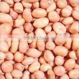 Java Peanuts thumbnail-4