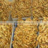 Fresh Ginger thumbnail-1