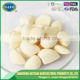 Wholesale Frozen Peeled Garlic Cloves With Good Quality thumbnail-2