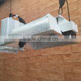 1000W Green House Double Ended Grow Light With Ballast