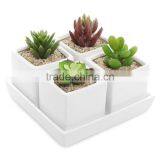 Mini Square Cube Ceramic Succulent Planters thumbnail-1