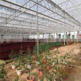 Modern Design Low Cost / Cheap Glass Green Houses for Agriculture thumbnail-4