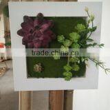 Artificial Plants Craft thumbnail-4