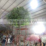 Shopping Mall Artificial Banyan Trees for Decoration thumbnail-3