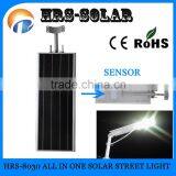 30W LED Solar Power Motion Sensor Pedestrian Lamp thumbnail-3