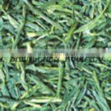 Sencha Tea thumbnail-1
