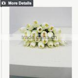 Hot Selling Tulip for Home Decoration Pieces and Valentine's Day Gift Flower thumbnail-4