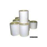 Polypropylene Film Adhesive Labelstock / Glassine Liner thumbnail-1