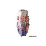 Sell Wax Candle thumbnail-1