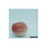 Low Emissivity Glass thumbnail-1