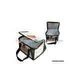 Cooler Bag thumbnail-1