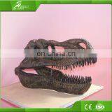 Attractive Display Equipment Dinosaur Skeleton of China Factory thumbnail-3