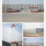 Tianjin Wellmade Scaffold Co., Ltd. company overview - view 3 thumbnail