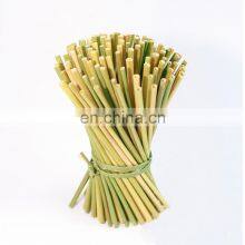 100% Natural Eco Friendly Grass Drinking Straws/ Biodegradable Grass Drinking Straws Best Price From Vietnam thumbnail-2