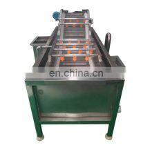 Air Bubble Vegetable Washer Bubble Washing Machine for Berries Food Industry