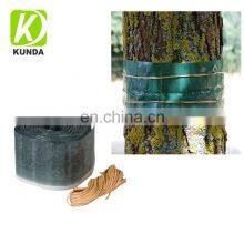 Fruit Tree Plant Protection Insect Control Sticky Glue Band Glue Traps for for Gardening