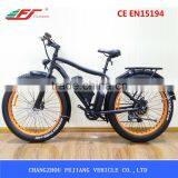 FJ-TDE07, Selfdesign Light Electric Bike 500 Watts thumbnail-2