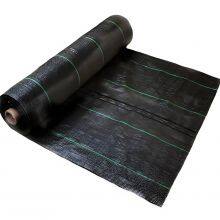 PE&PP Grass Mats Weed Control Fabric Ground Cover Weed Mat Grass Proof Cloth Weed Barrier Weed Barrier Fabric Boli thumbnail-4