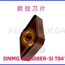 PRAMET CNC Tool Holder C5-DDUNR-35060-15 for Heavy-Duty Milling Operations thumbnail-3