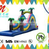 TV, Movie, Character Toys Inflatable Water Slide Inflatable Swimming Pool thumbnail-1