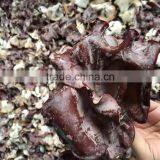 IQF Black Fungus thumbnail-5