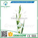 Greenflower 2016 Wholesale Real Touch Latex PU China Artificial Flowers Gladiolus for Wedding Decoration thumbnail-3