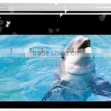 110 Inch Projection Screen