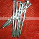 Fast Delivery Time Galvanized Concrete Nails thumbnail-3