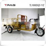 tailg/tailing 3 wheel electric vehicle with high carrying 1000w electric tricycle for sales TL1000QDZ-11Z