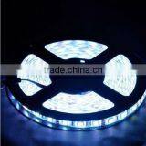 Wholesale Price 2700K 6000K 3528 Warm White Flexible Smd Led Strip Quality Choice thumbnail-3