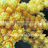 Artificial Ginger Torch Latexed