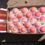 2011 crop red fuji apple