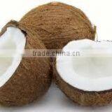 Fresh coconut