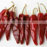RED CHILI FROM GUJARAT thumbnail-5