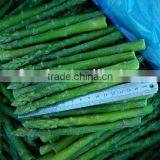 IQF Freezing Process Frozen Asparagus