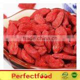 Dried Red Medlar Berry thumbnail-1